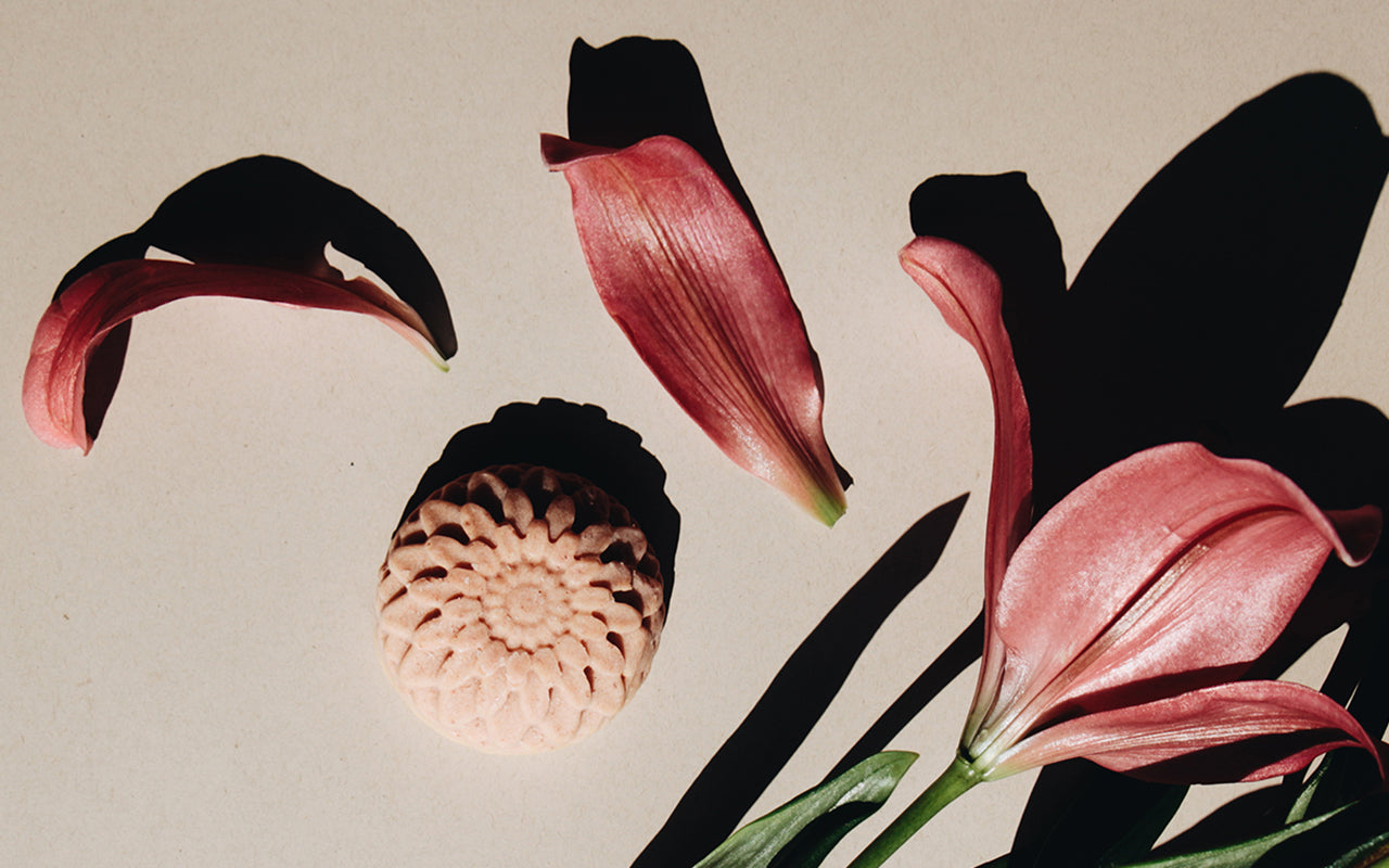 CÓMO CUIDAR TUS PRODUCTOS Y QUE SU PERÍODO DE VIDA SEA MÁS LARGO