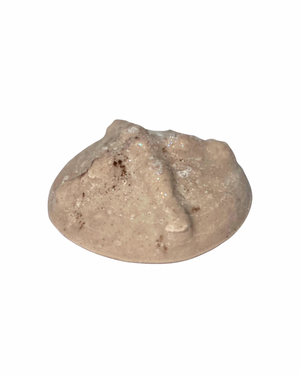 Exfoliante Corporal Pan de Muerto